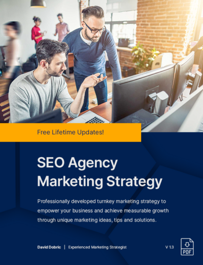 SEO Agency Marketing Strategy, Plan, Ideas, Tips & Solutions